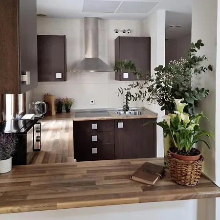 Apartment Cozy In The City Center Granada