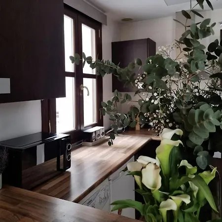 Cozy In The City Center Apartment