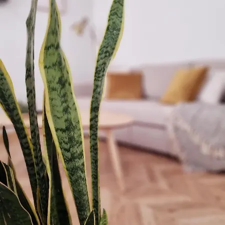 Apartment Cozy In The City Center Granada