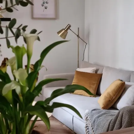 Cozy In The City Center
